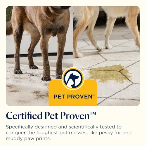 BISSELL SpotClean Pet, Carpet Cleaner, Portable Spot Cleaner, Spills & Carpet Stain Remover